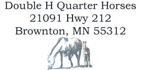 Quarter Horses for Sale in Minnesota